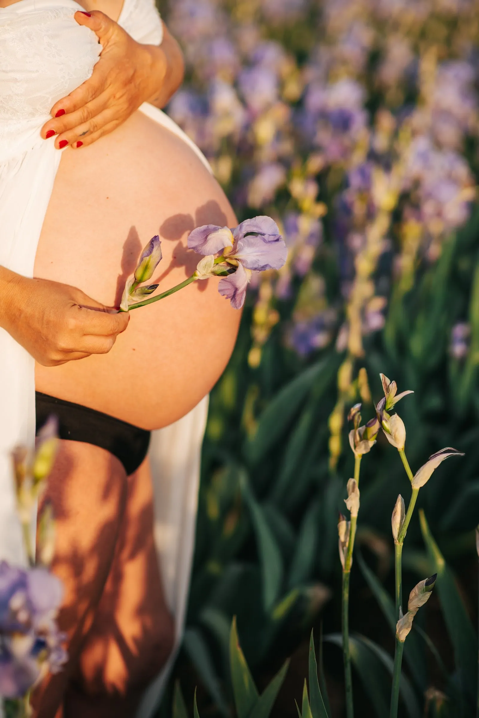 Pregnancy detail: a mum-to-be resting a mauve iris flower against her bare bump in a field of irises, near Aix-en-Provence