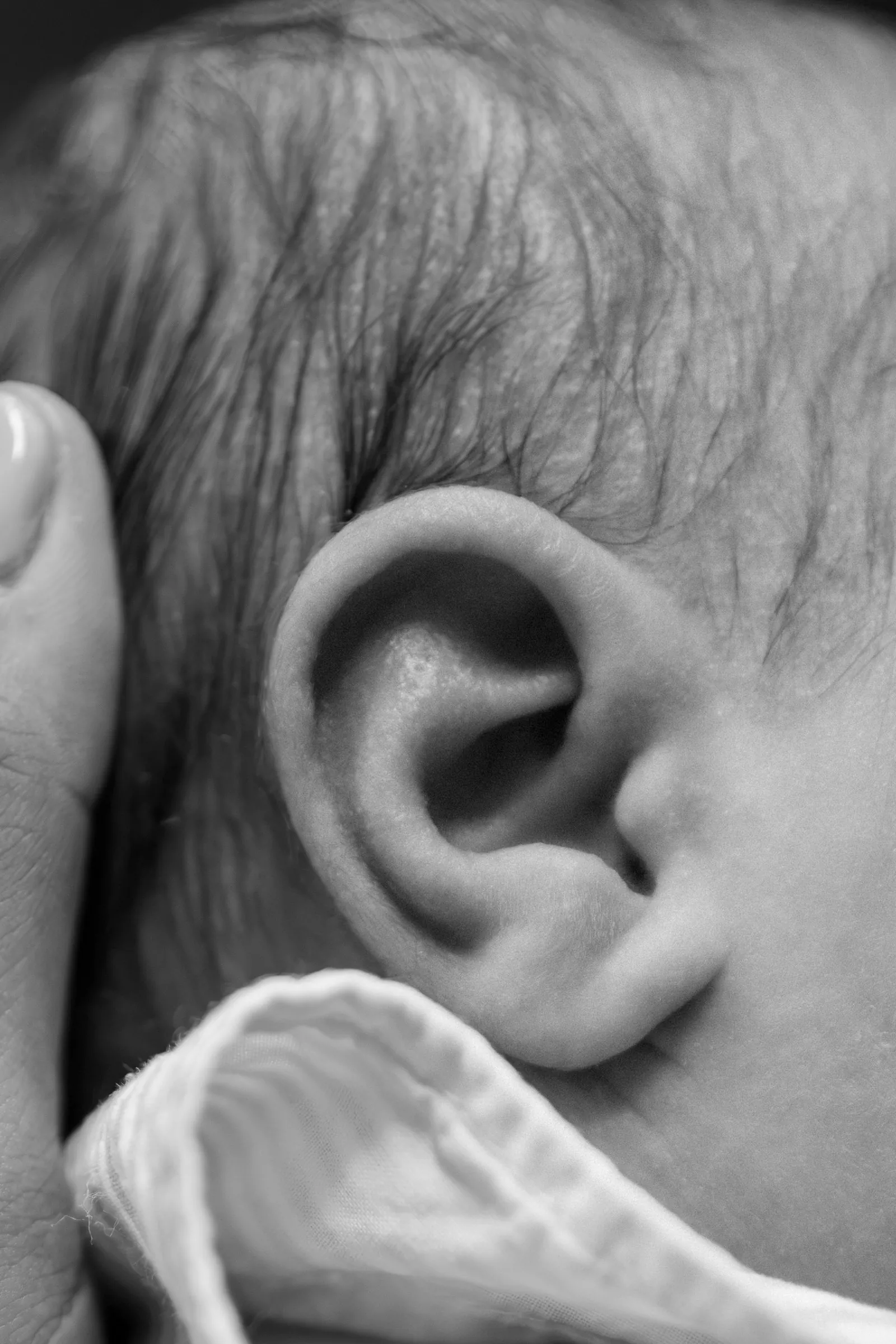 Détail de l'oreille et des cheveux duveteux d'un nouveau-né, caressé par le doigt de sa maman, en noir et blanc