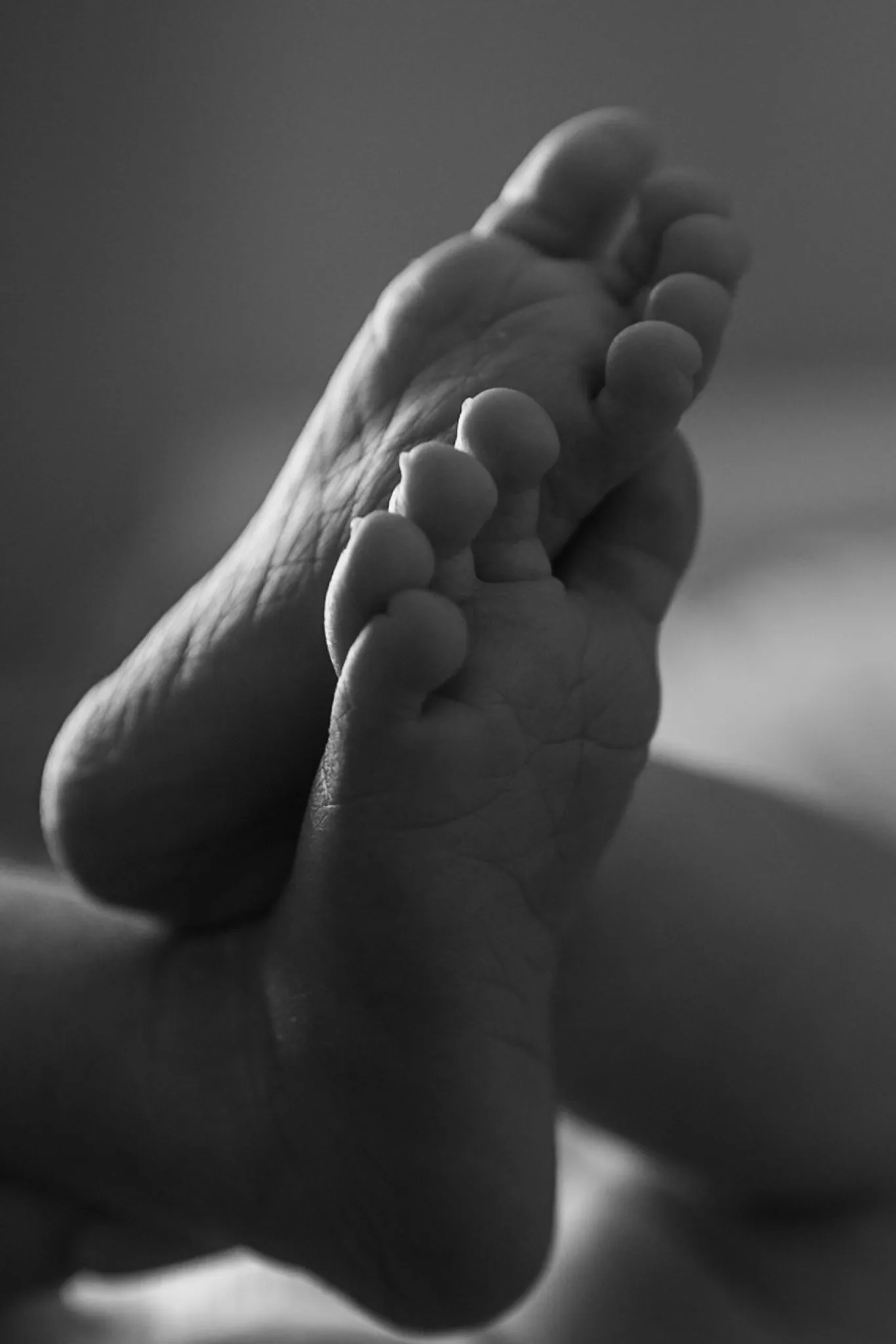 Les deux petits pieds d'un nouveau-né croisés l'un contre l'autre, sculptés par la lumière, en noir et blanc