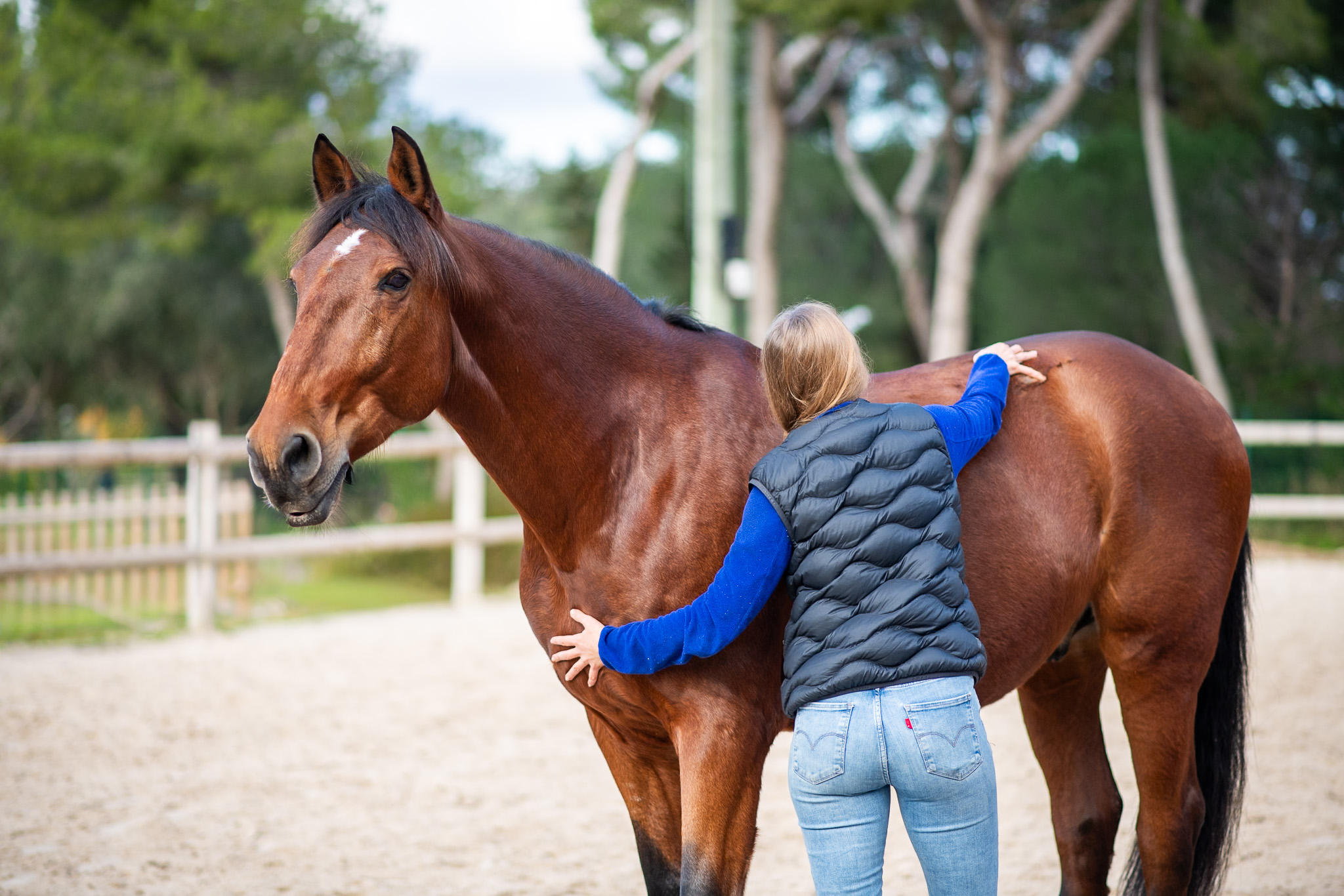 Photographe de métier ostheopathe equin en Provence – Fine art & reportage | Léna Maruitte