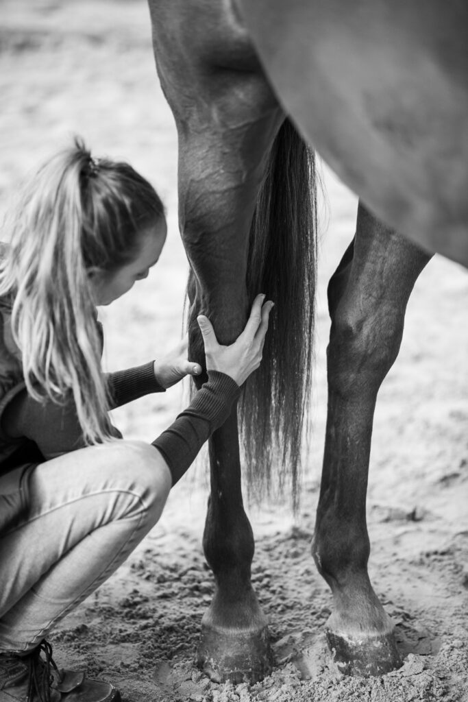Reportage métier en Provence – images naturelles et haut de gamme pour entreprise