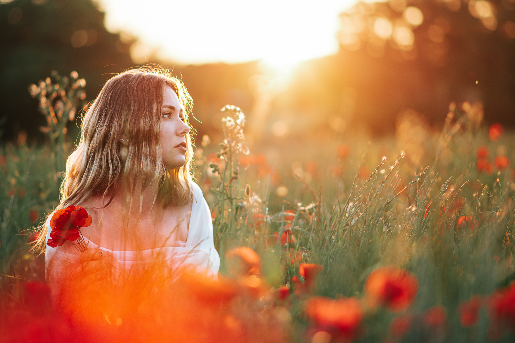photo dans les coquelicots au coucher de soleil - photographe marseille